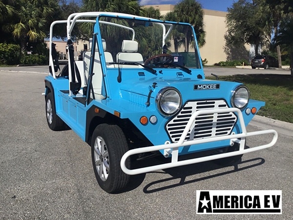 Blue Mokee 4 Passenger Golf Cart