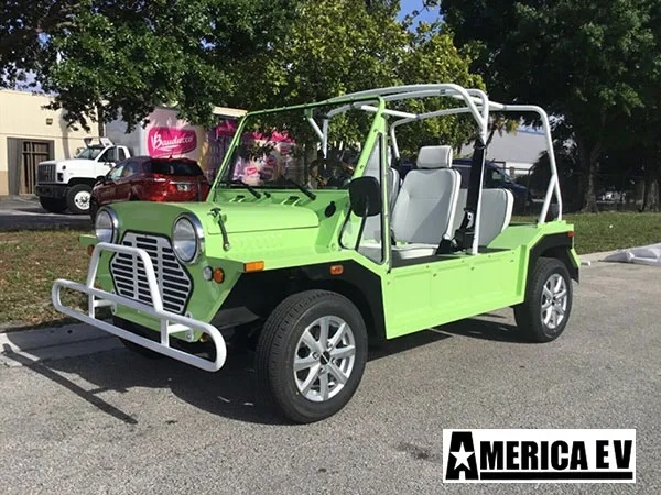 Light Green Mokee 4 Passenger Golf Cart