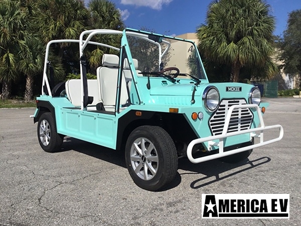 Mint Mokee 4 Passenger Golf Cart